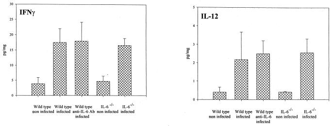 FIG. 6