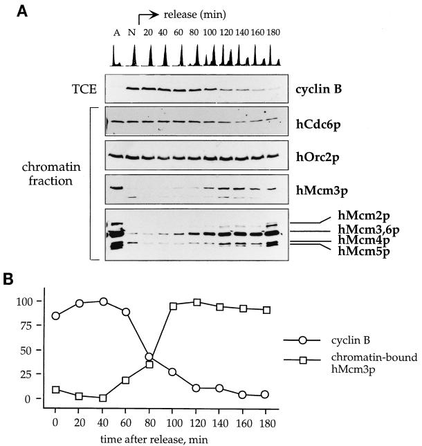 FIG. 5