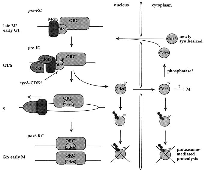 FIG. 7