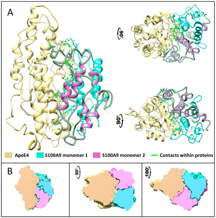 Figure 6