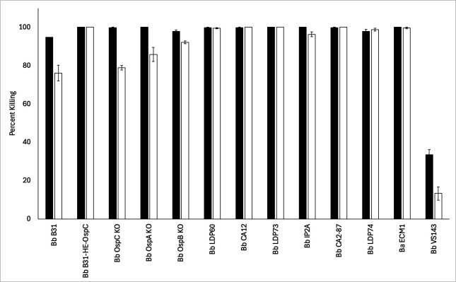 Bar graph depicts percentage of bacterial killing across different Borrelia strains and mutants. Most strains exhibit near-complete killing, except for Bb VS134, which depicts significantly lower killing rates.