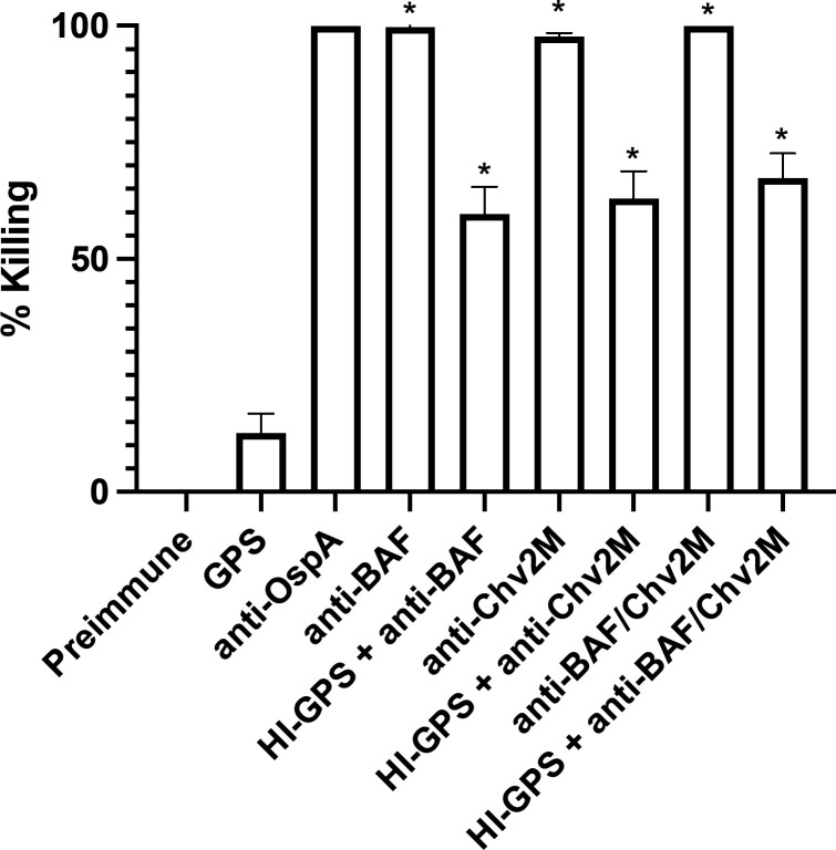 Bar graph depicts the percentage of bacterial killing under various conditions. Treatments with anti-OspA, anti-BAF, and anti-Chv2M antibodies result in significantly higher bacterial killing than preimmune and control treatments.