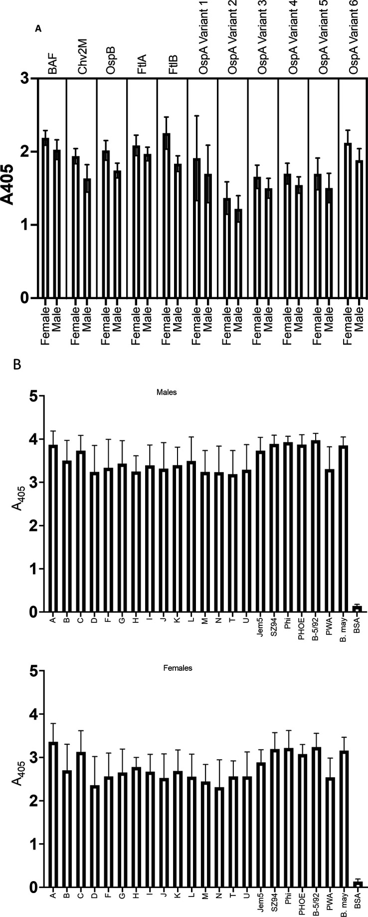 Bar graphs comparing absorbance levels across various OspC protein types in male and female mice