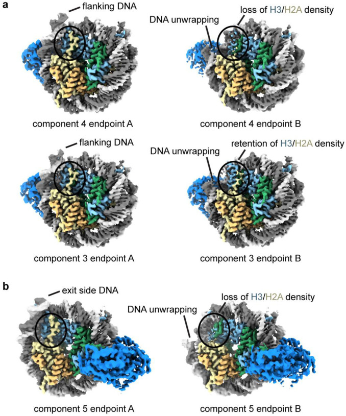 Extended Data Fig. 8.