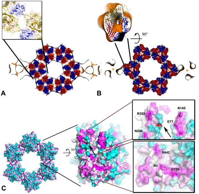 Figure 6