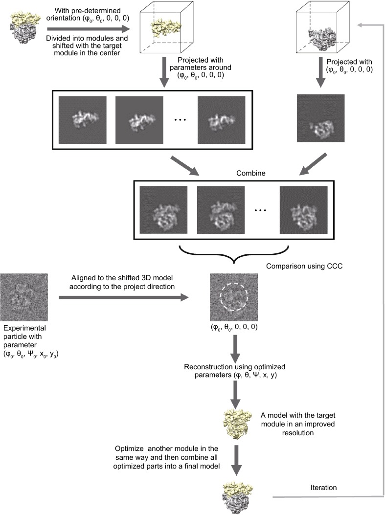 Figure 1