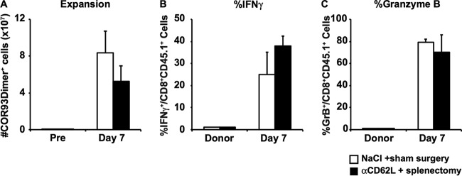 FIG 5