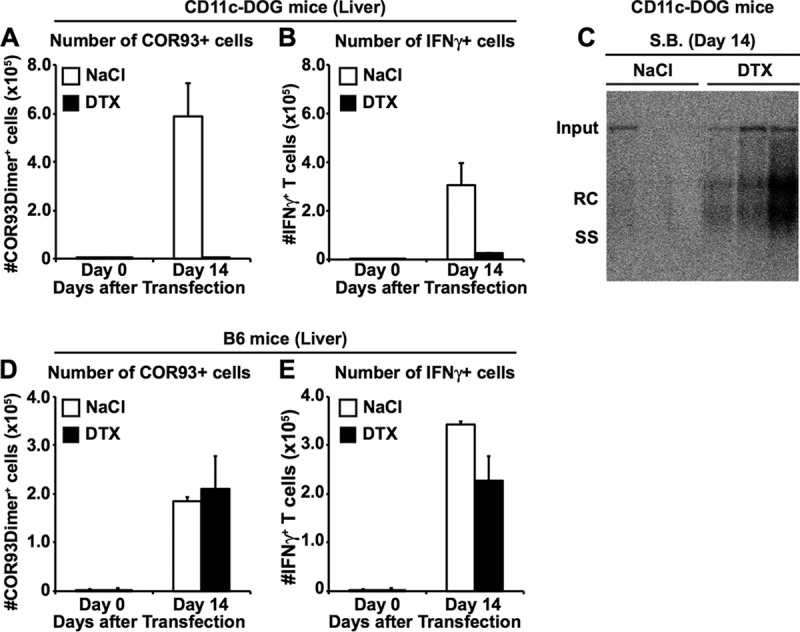 FIG 2