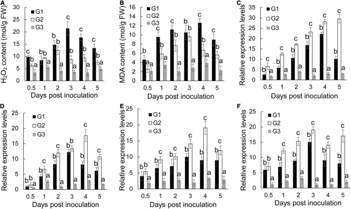 FIGURE 4