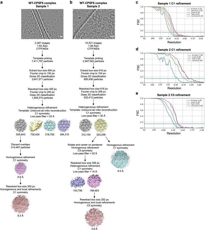 Extended Data Fig. 8