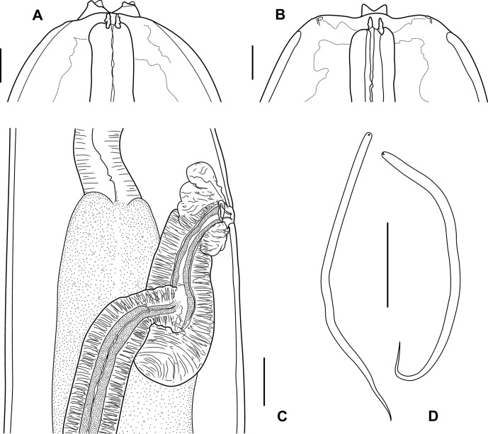 Figure 2.