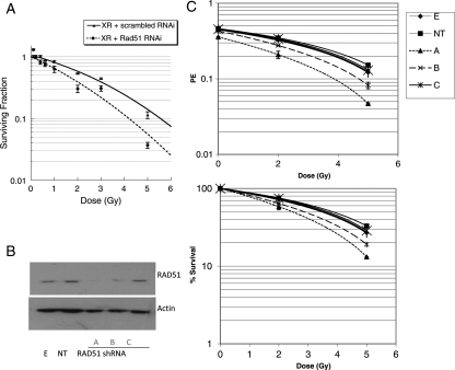 Fig. 3.