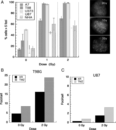 Fig. 2.