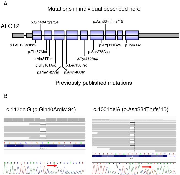 Fig. 2