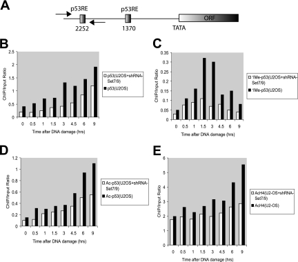 FIG. 7.