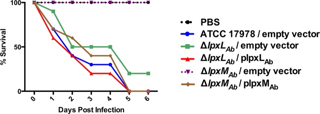 FIG 7 