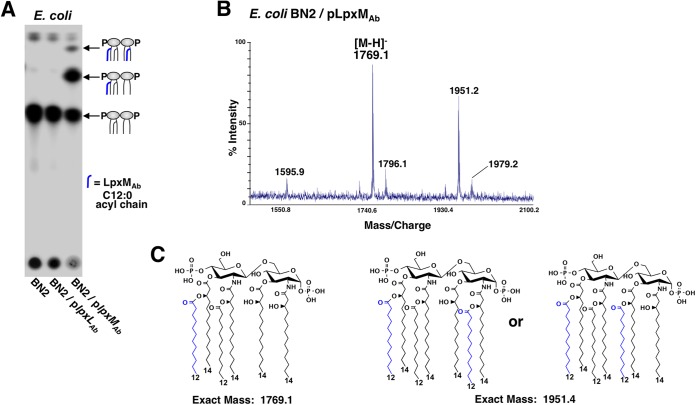 FIG 3 