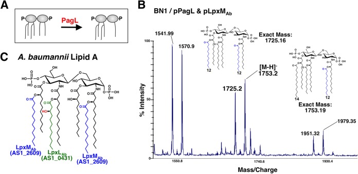 FIG 4 