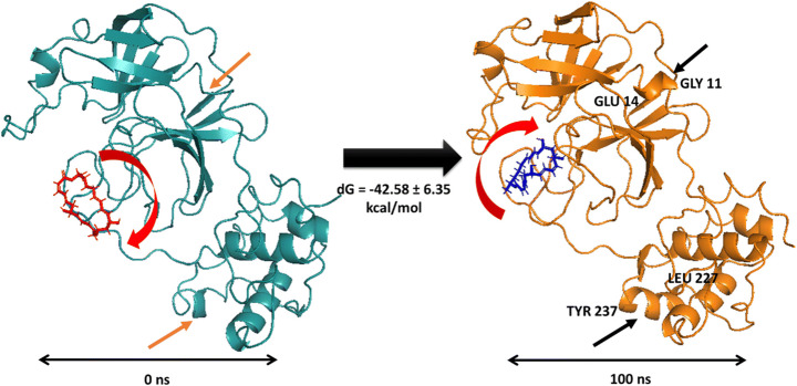 Fig. 11