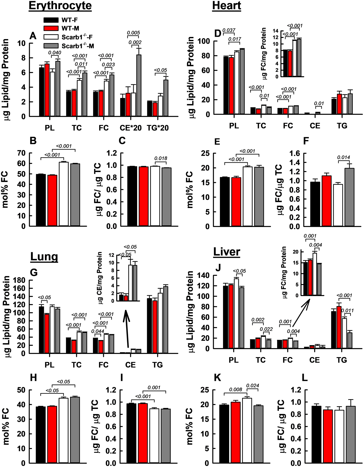 Figure 3: