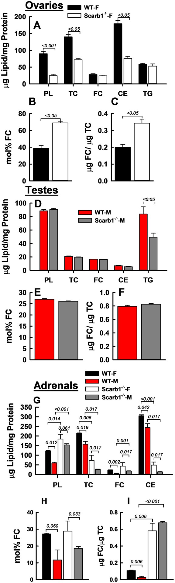 Figure 5: