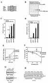 FIG.1.