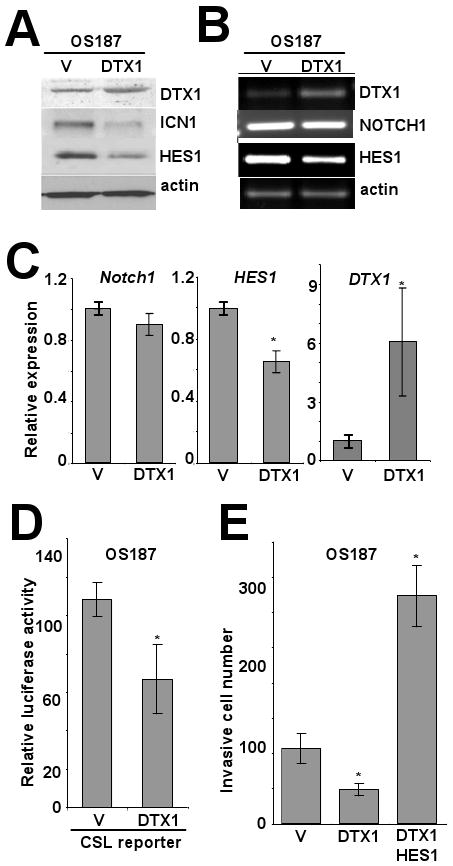 FIG 1