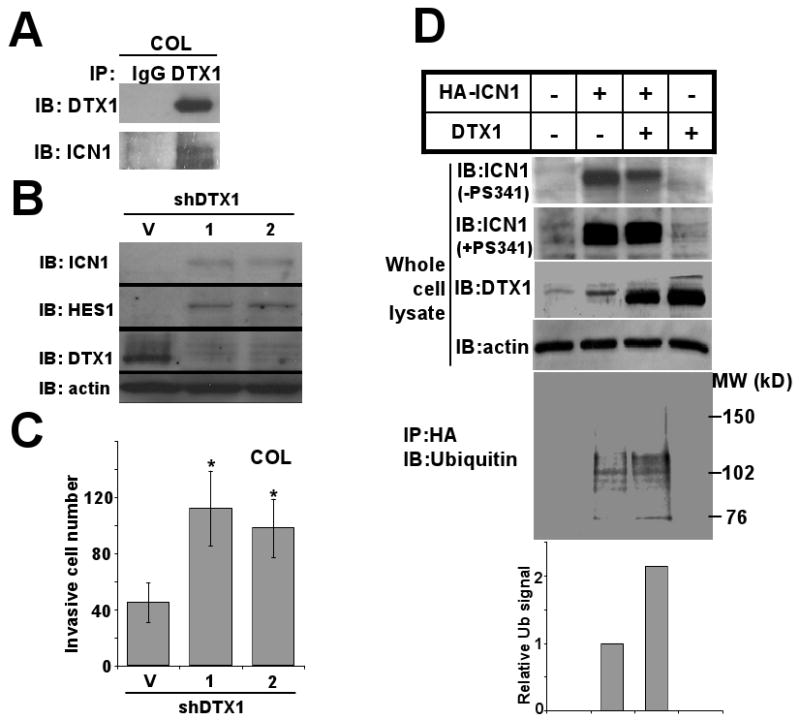 FIG 2