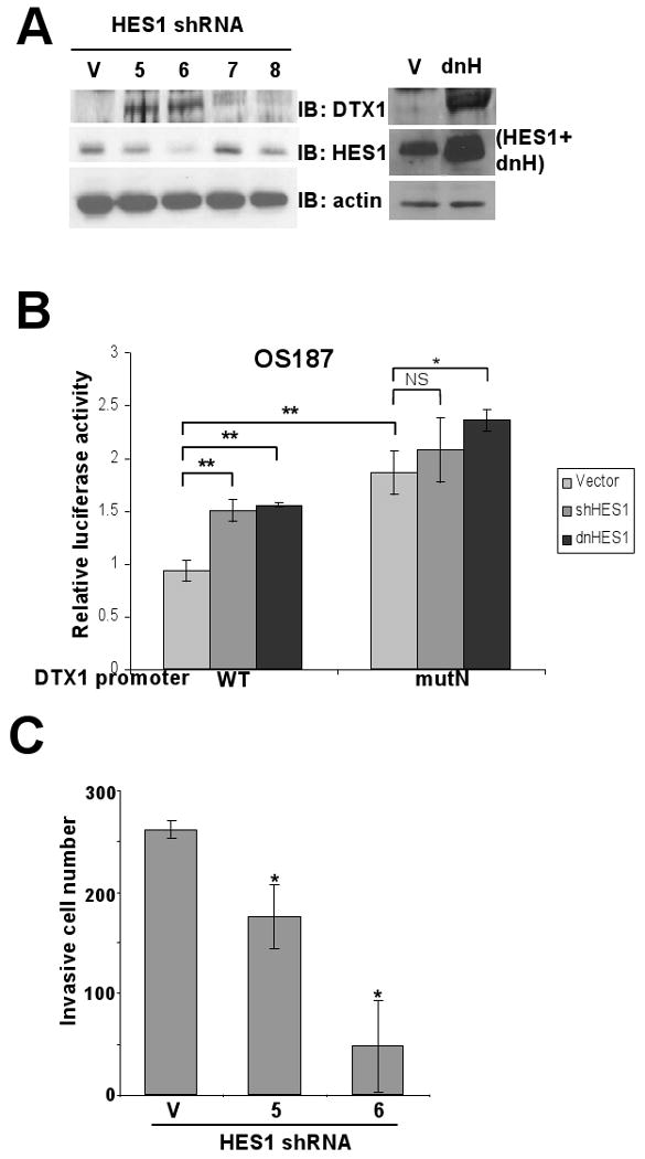 FIG 6