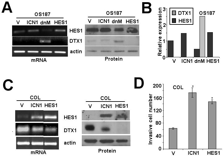 FIG 3