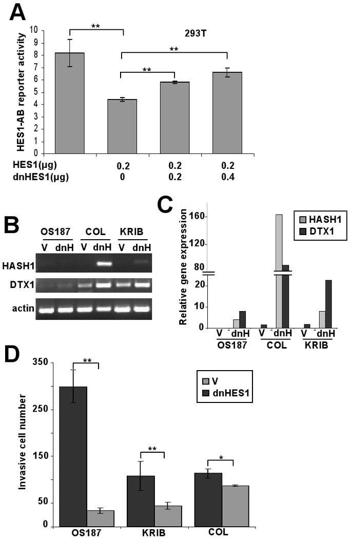 FIG 4