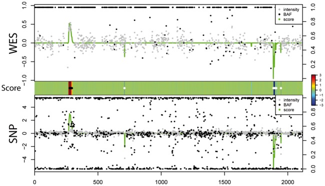 Fig. 3.