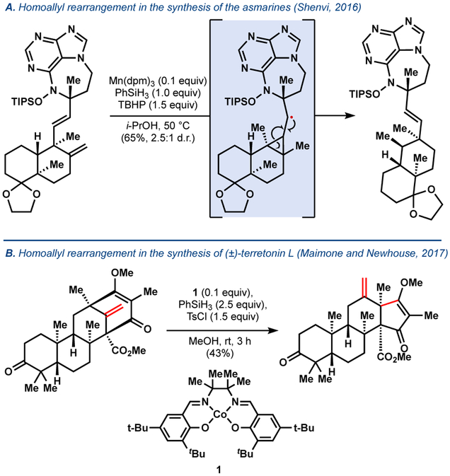 Figure 10.