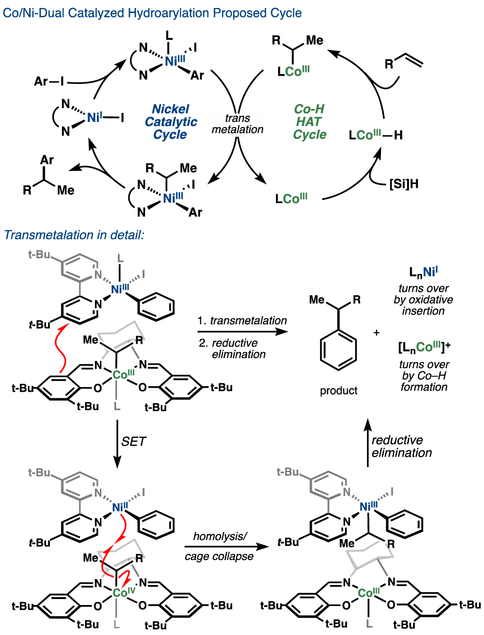 Figure 13.