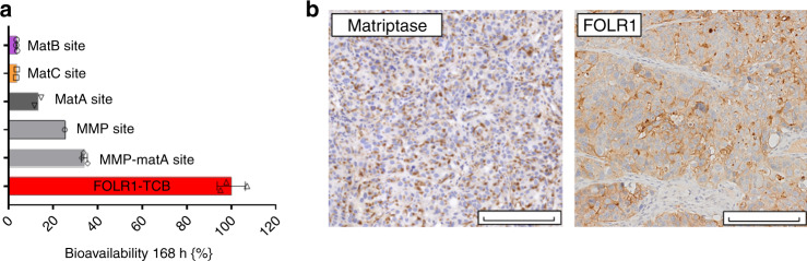 Fig. 8