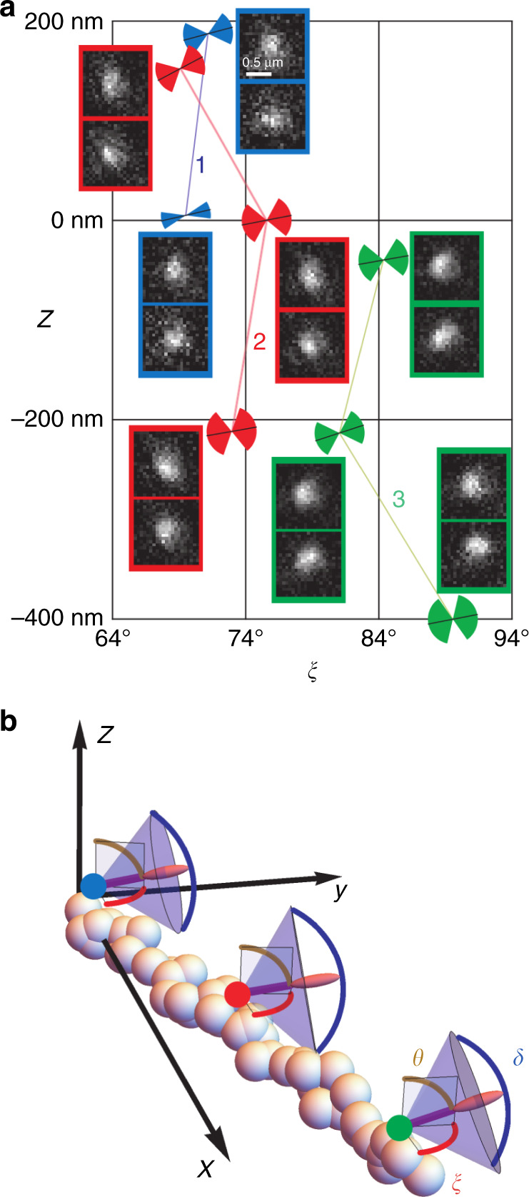 Fig. 7