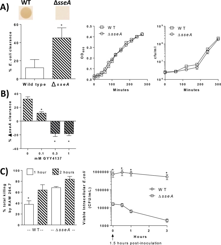 FIG 3