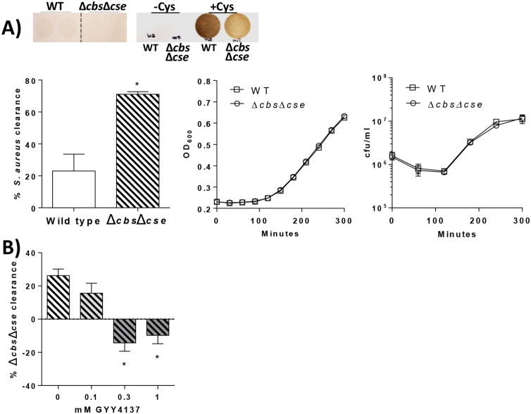 FIG 4