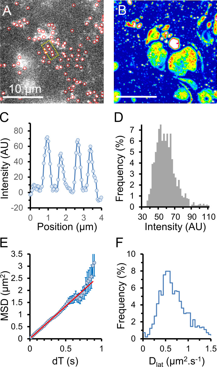 Figure 4.