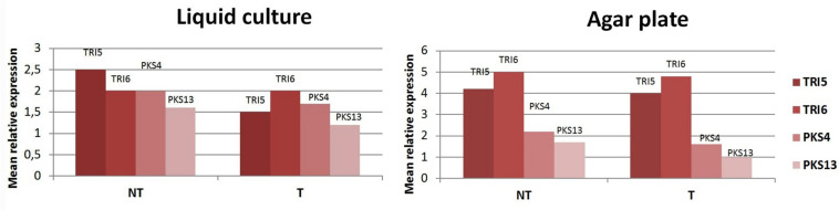 FIGURE 5