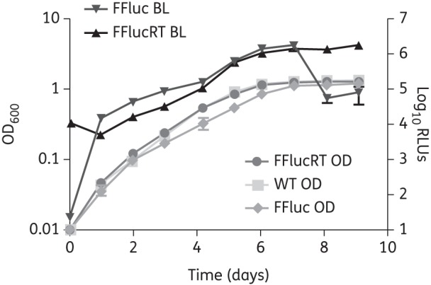 Figure 1.