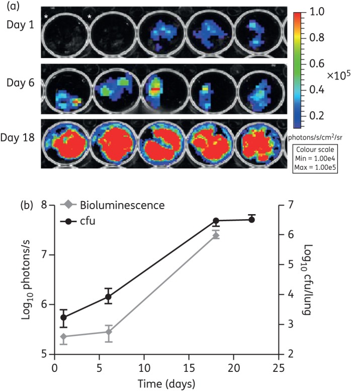 Figure 4.