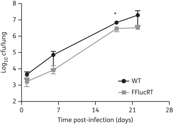 Figure 2.