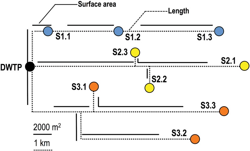 FIG 1 