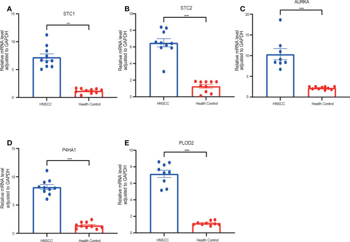 Figure 11