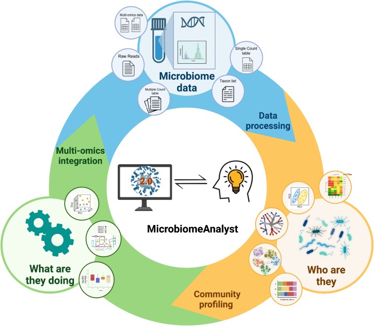 Graphical Abstract