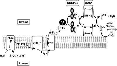 Figure 10.