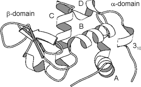 Fig. 1