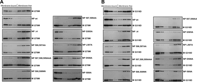 FIG. 8.