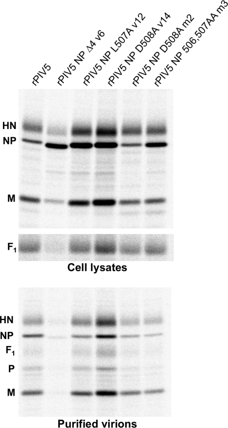 FIG. 7.